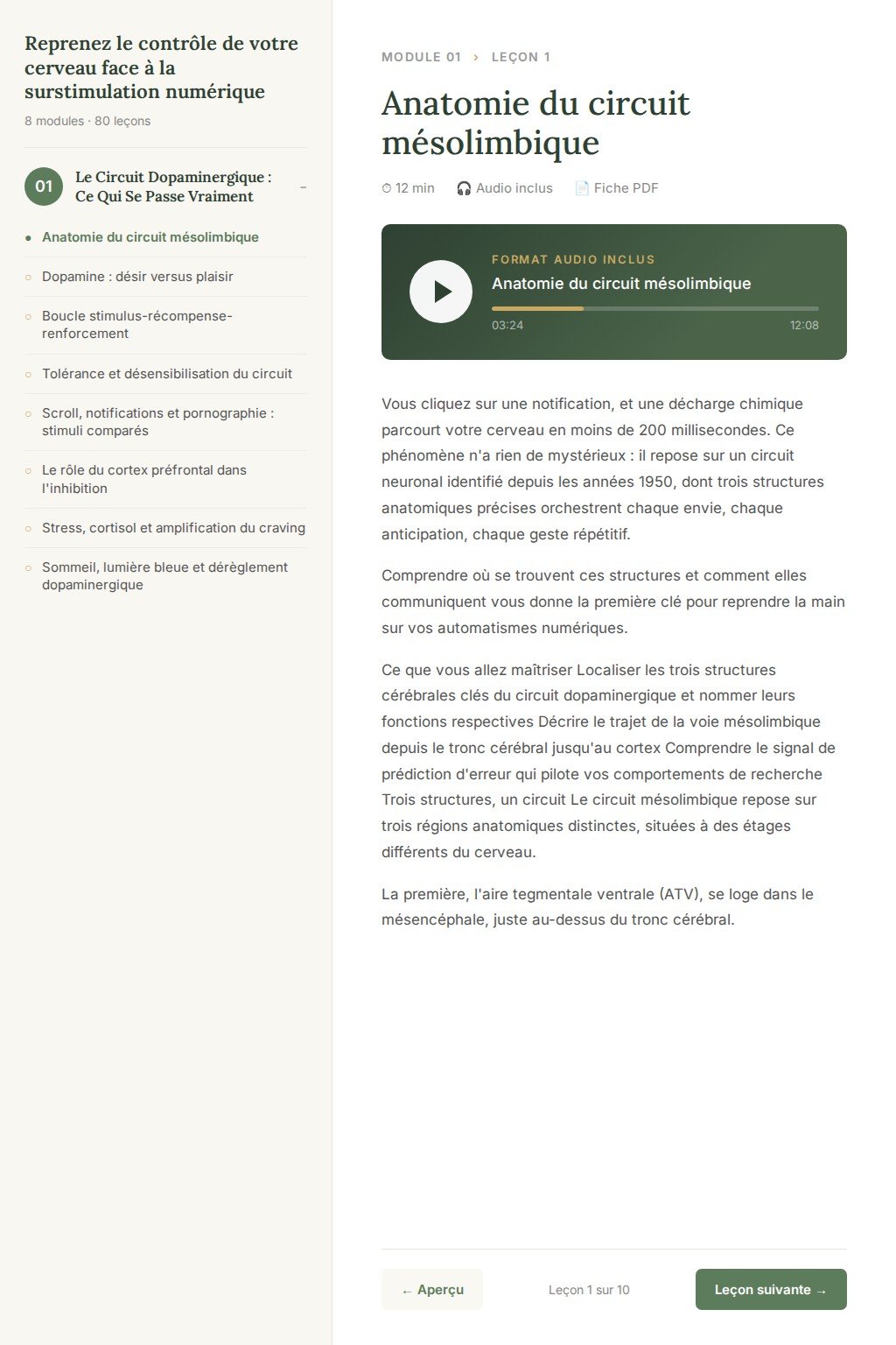 Aperçu d'une leçon · Reprenez le contrôle de votre cerveau face à la surstimulation numérique