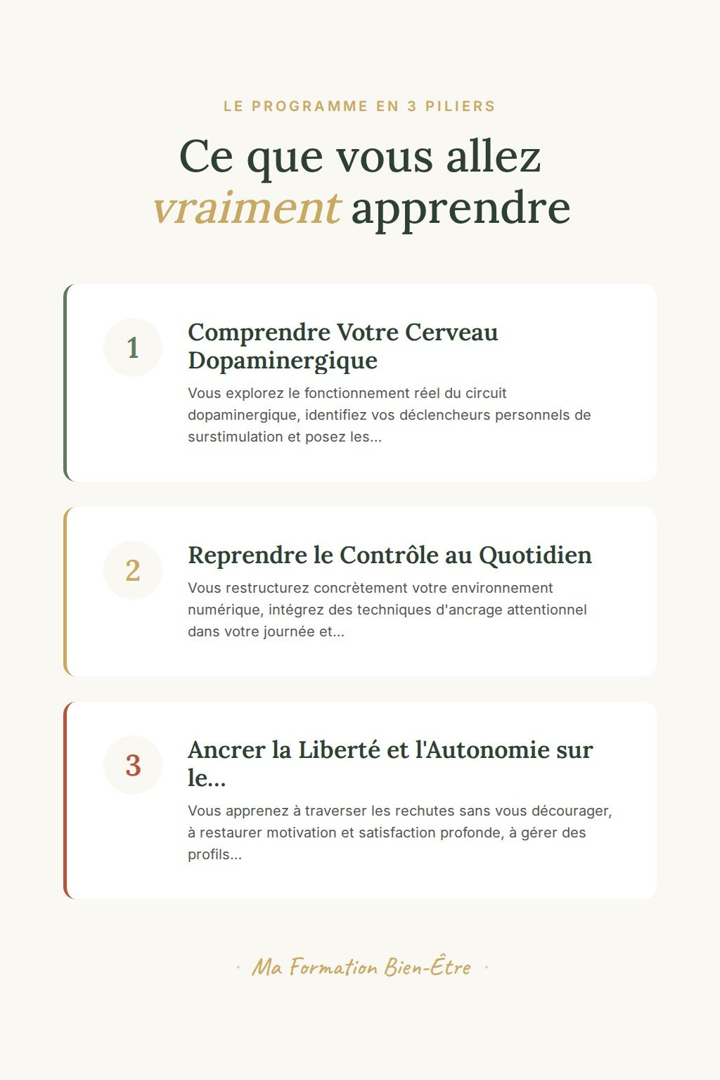 Les 3 piliers du programme · Reprenez le contrôle de votre cerveau face à la surstimulation numérique