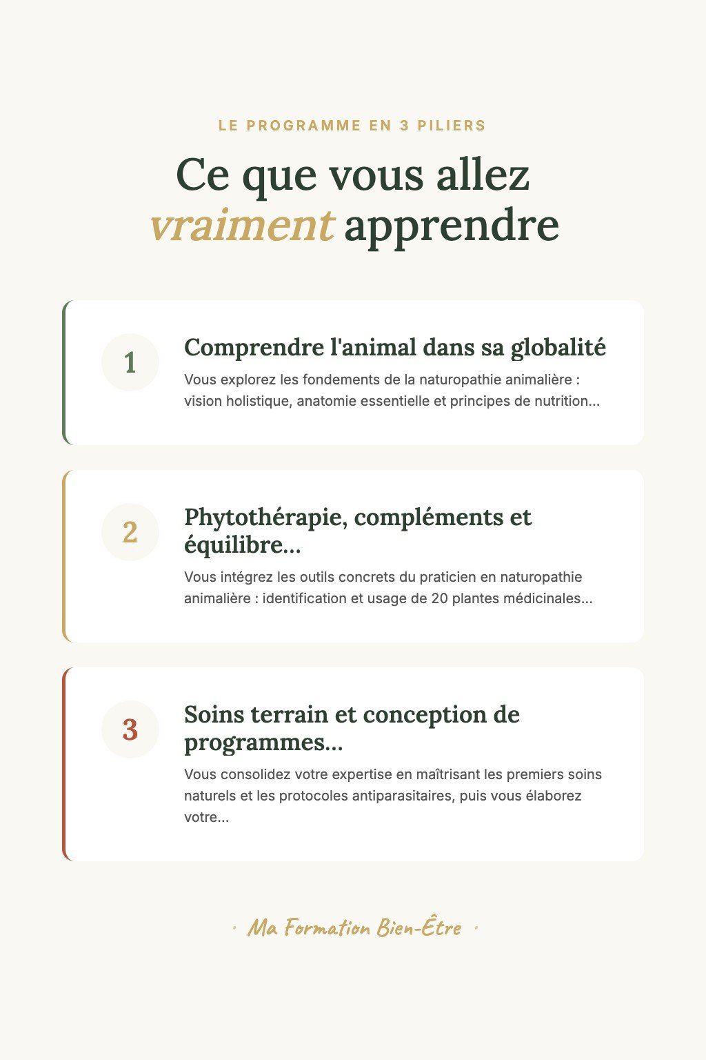 Les 3 piliers du programme · Découvrez la Naturopathie Animalière et Offrez à Vos Compagnons une Santé Naturelle et Équilibrée