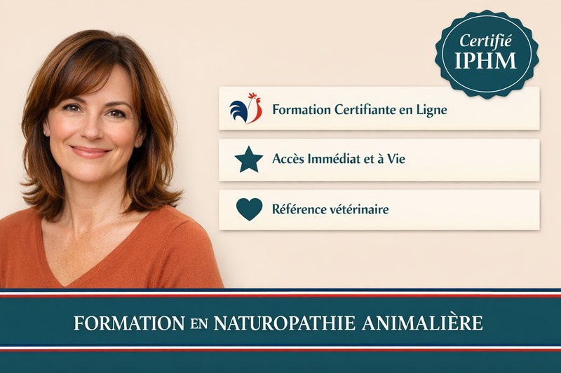 Formation en Naturopathie Animalière – Niveau Expert
